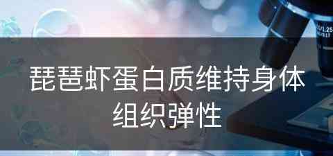 琵琶虾蛋白质维持身体组织弹性